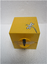 square box with dragonfly key